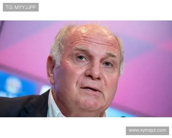 赫内斯:德甲应坚持独立发展道路 拒绝阿拉伯与美国资本干预 赫内斯:德甲应坚持独立发展道路 拒绝阿拉伯与美国资本干预